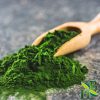 Chlorella Powder.