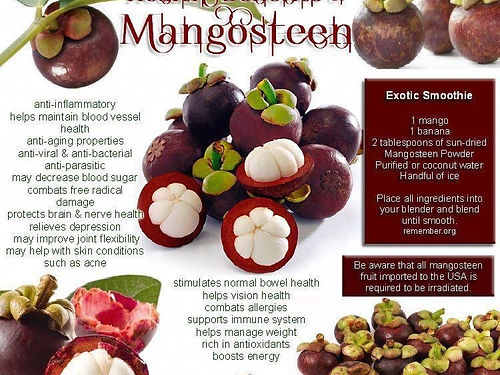 Mangosteen Powder - 4 oz. - EROS NECTAR