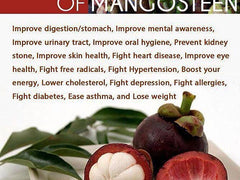 Mangosteen Powder - 4 oz. - EROS NECTAR