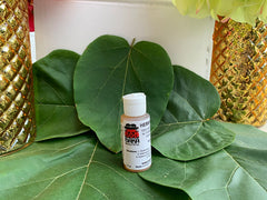 1 oz de tonique capillaire à base de plantes Baka - à utiliser avec de l'aloe vera 