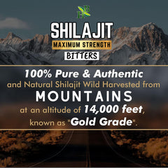 Shilajit