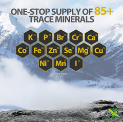 ONE-STOP SUPPLY OF 85+
TRACE MINERALS