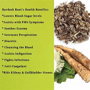 Burdock Root Powder - 4 oz.