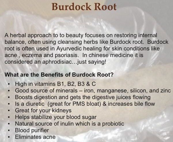 Burdock Root Powder - 4 oz.