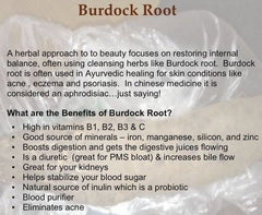 Burdock Root Powder - 4 oz