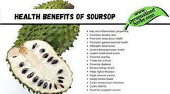 Graviola (Soursop) Leaf Powder - EROS NECTAR