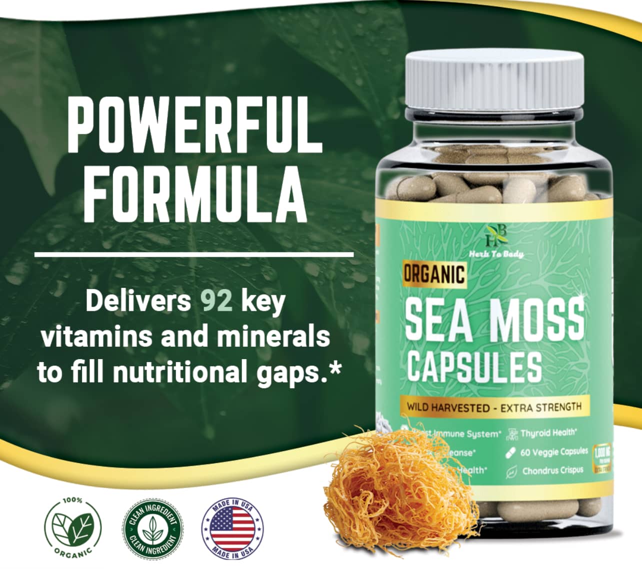 EROS NECTAR organic sea moss capsules bottle with natural sea moss and key vitamins supplement