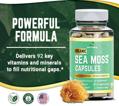 EROS NECTAR organic sea moss capsules bottle with natural sea moss and key vitamins supplement