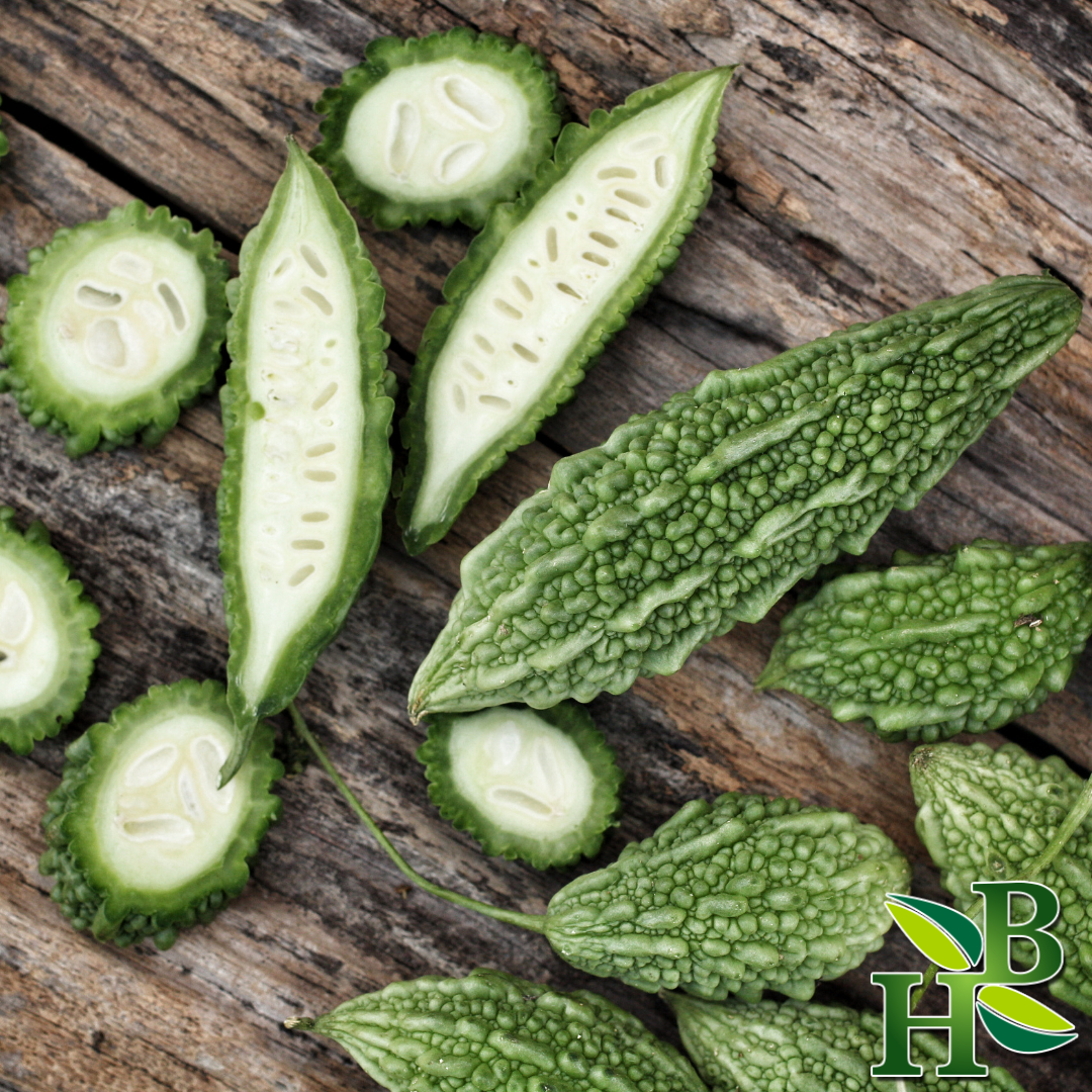 Bitter Melon Powder Supplement – Pure & Natural Boost