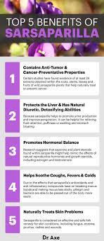 Top 5 benefits infographic of sarsaparilla root powder supplement highlighting health advantages