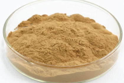 Tongkat Ali root extract for men powdered herb in a clear glass dish from My Store