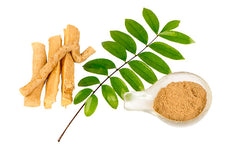 Tongkat Ali root extract for men showing dried roots, green leaves, and powdered herb on white background
